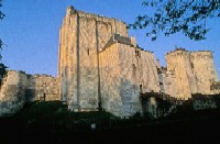 Photo du donjon de Loches